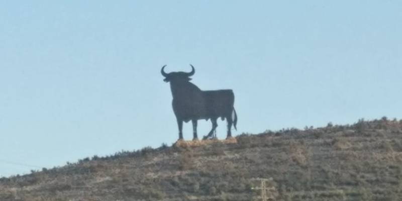 Toro Bravo, el simbolo de España del toro