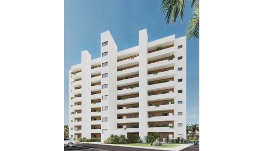 Atico - Nueva construcción  - Benidorm -
                Benidorm