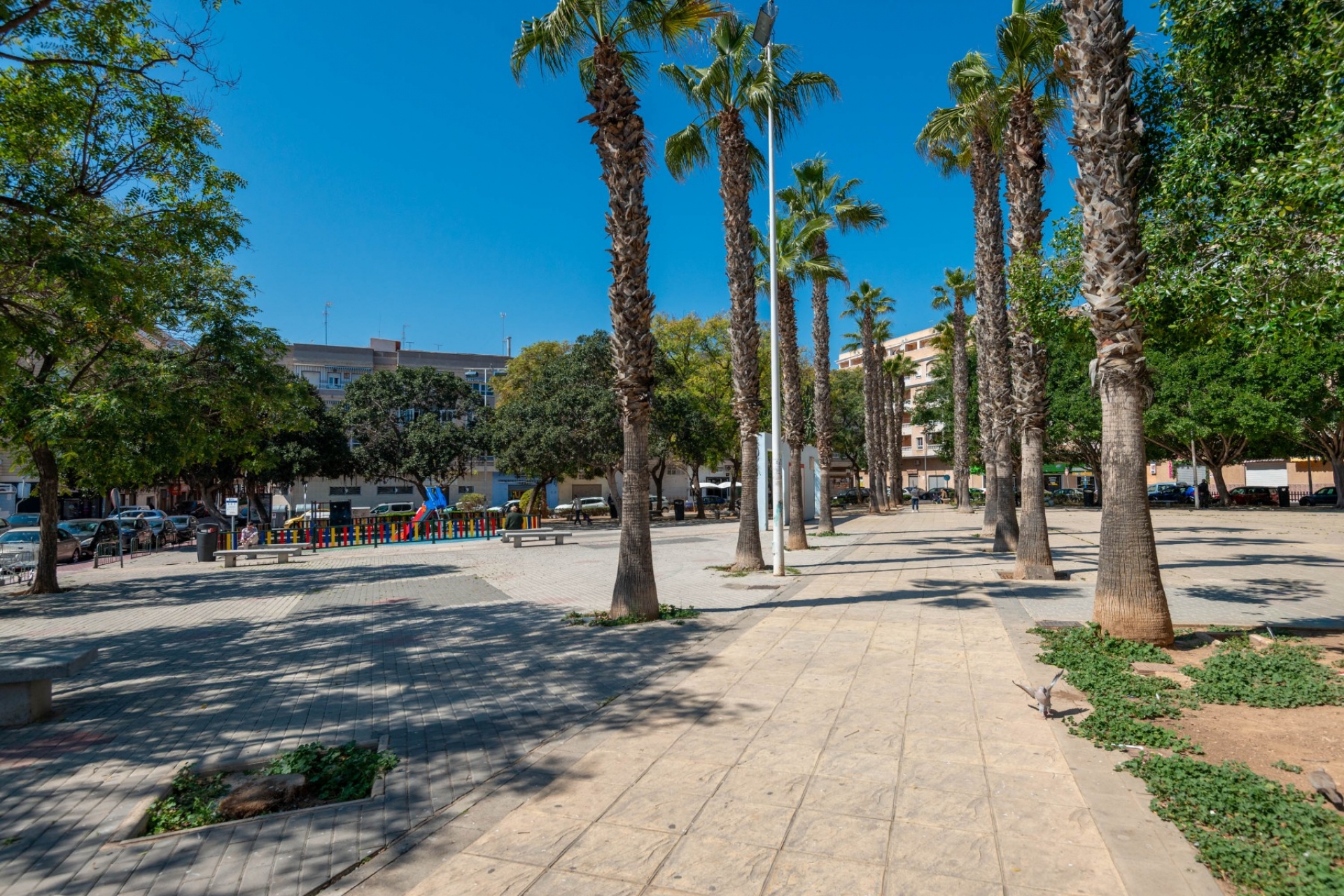 Jälleenmyynti - Apartment -
Torrevieja - Centro