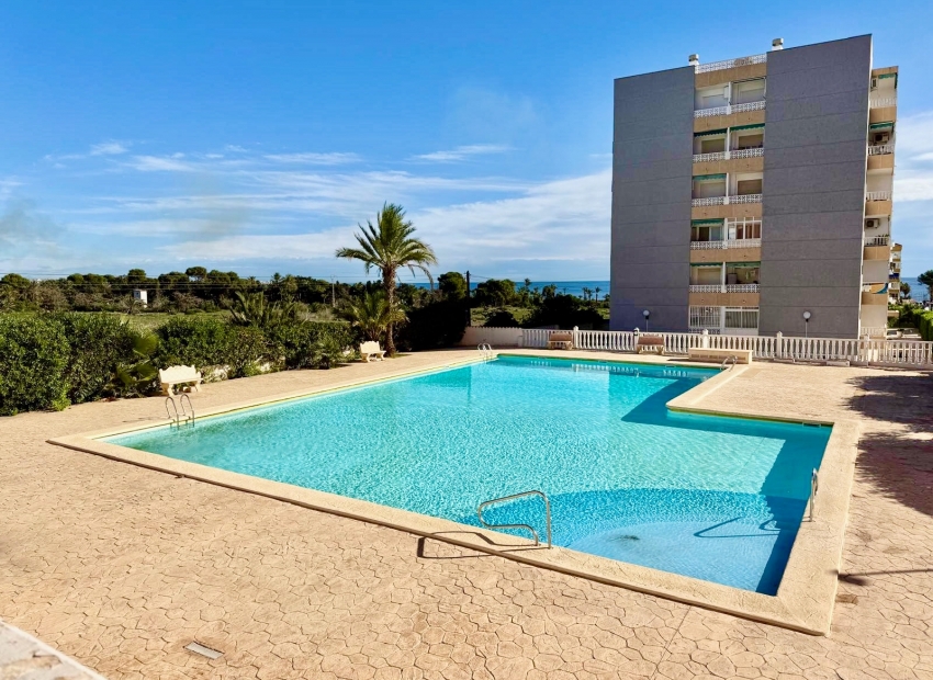 Jälleenmyynti - Apartment -
Torrevieja - Punta Prima, Torrevieja
