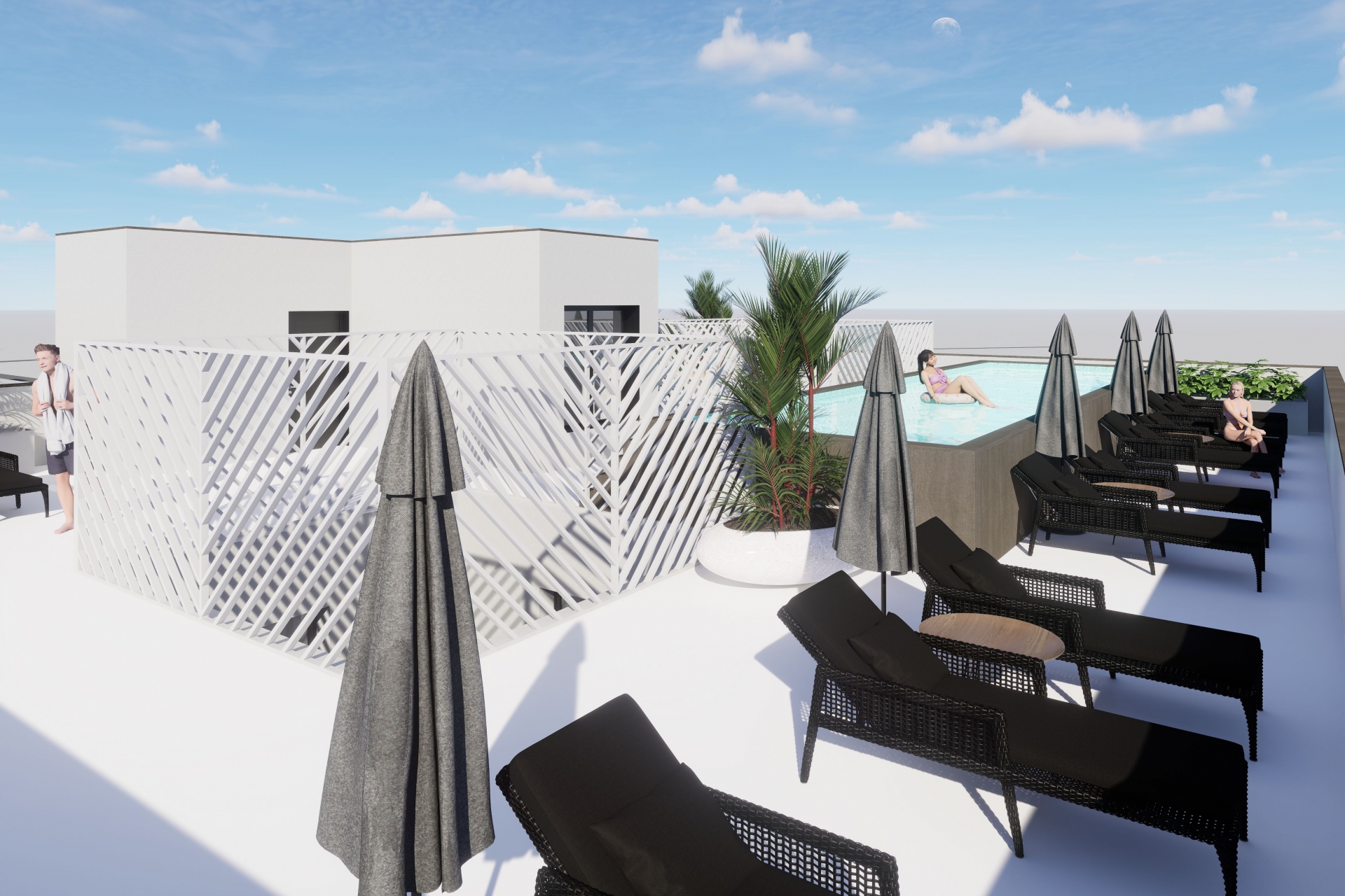Neue Gebäude - Penthouse -
Torrevieja
