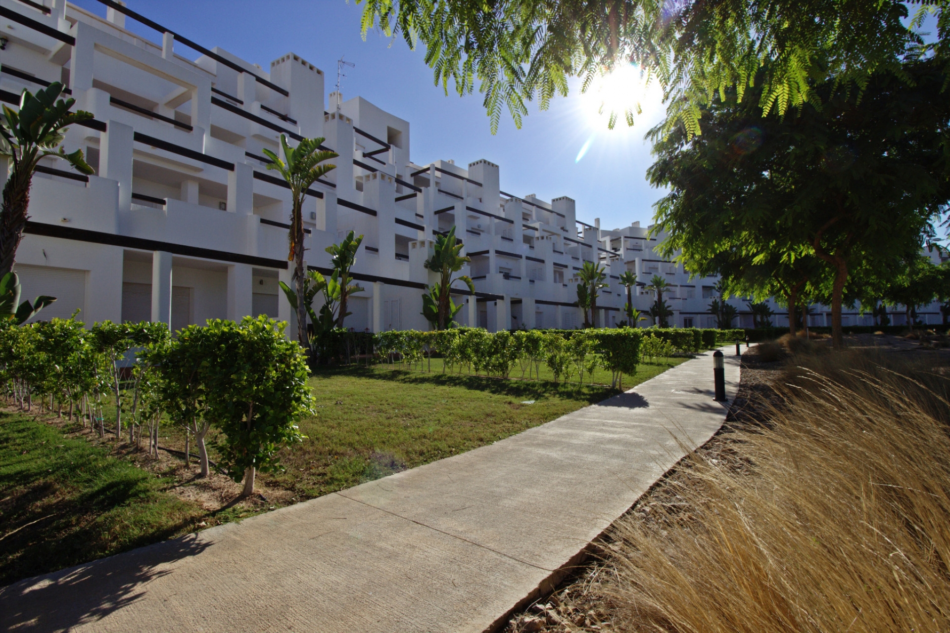 Neue Gebäude - Wohnung -
Balsicas - Terrazas de la Torre