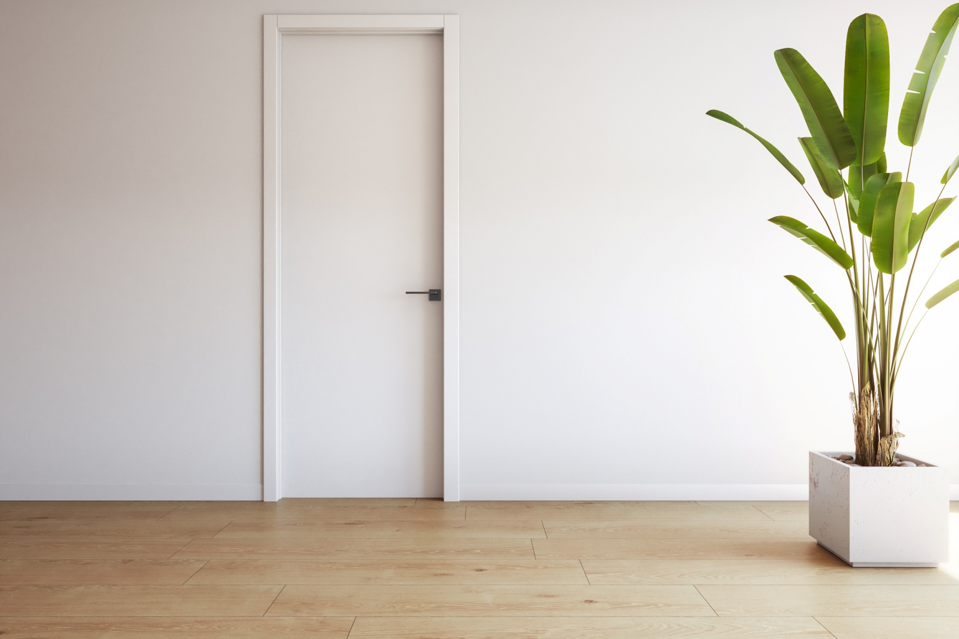 New Build - Apartment -
Torrevieja