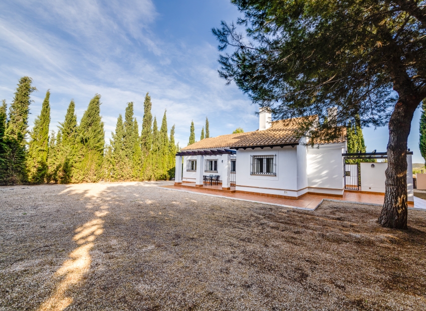 New Build - detached -
Fuente Alamo
