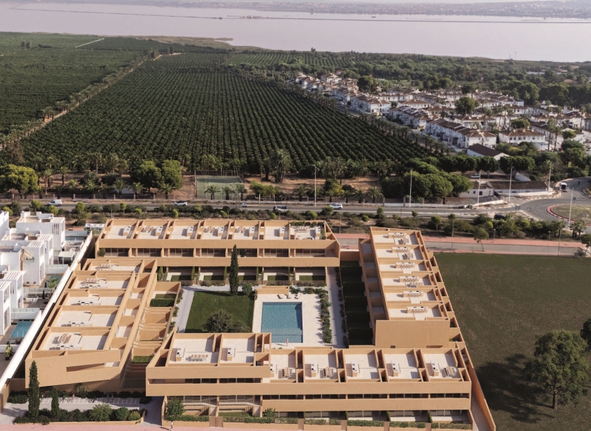 New Build - low-bungalow -
Torrevieja