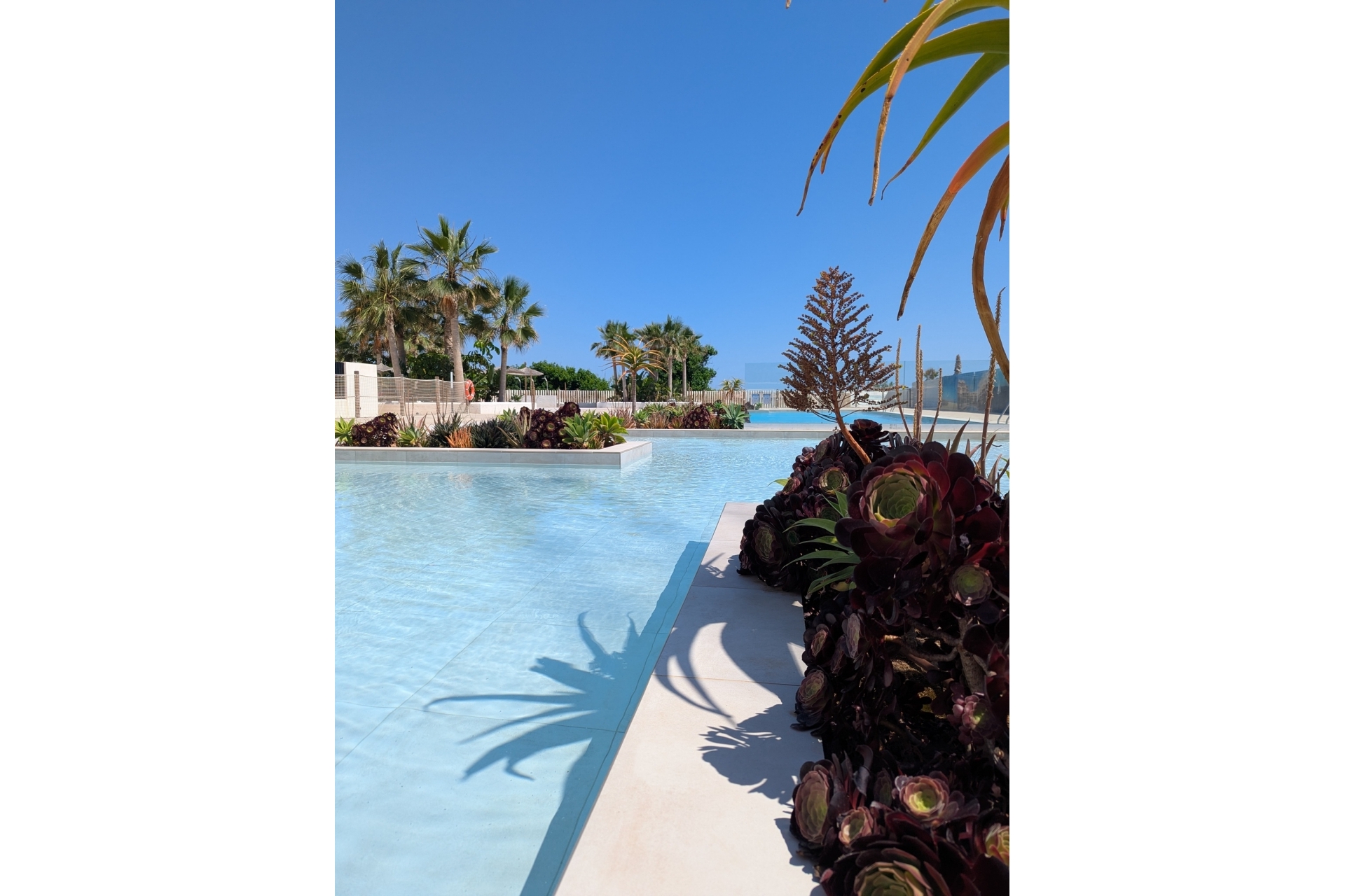 Nouvelle construction - Apartment -
Denia