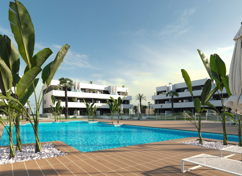 Nouvelle construction - Ground-floor -
Guardamar - Guardamar del Segura