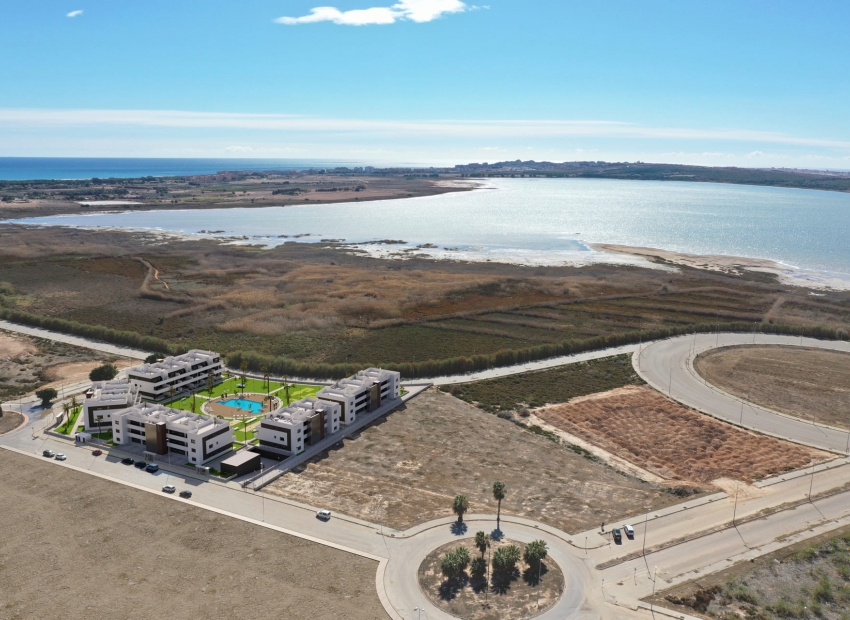 Nouvelle construction - Ground-floor -
Guardamar - Guardamar del Segura