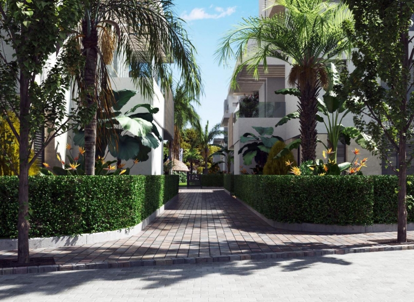 Nouvelle construction - Penthouse -
Santa Rosalía