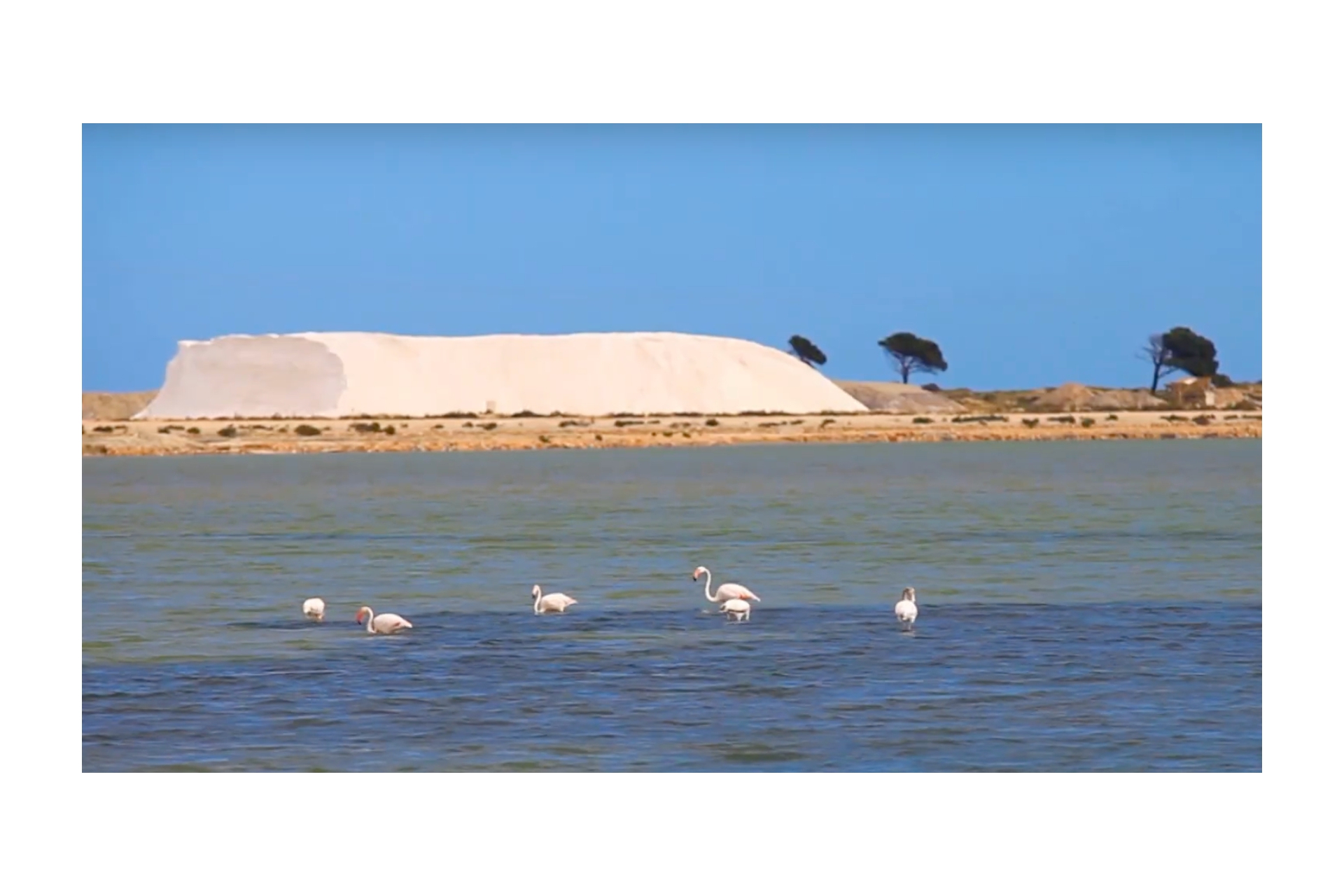 Новое  строительство - Пентхаус -
Torrevieja - La Mata