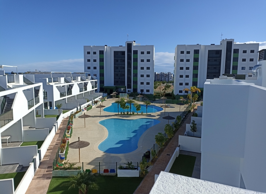 Nueva construcción  - Bungalow en planta baja -
Mil Palmeras