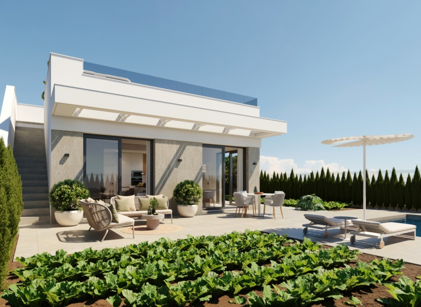 Nueva construcción  - detached -
Hacienda del Alamo Golf