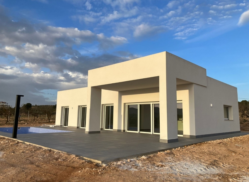 Nueva construcción  - detached -
Pinoso