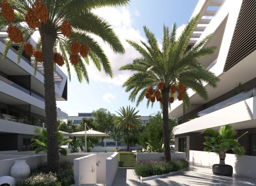 Nueva construcción  - ground-floor -
Sant Joan d'Alacant