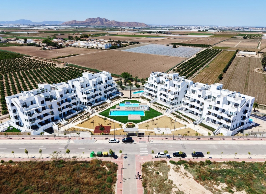 Nueva construcción  - ground-floor -
Santa Rosalía