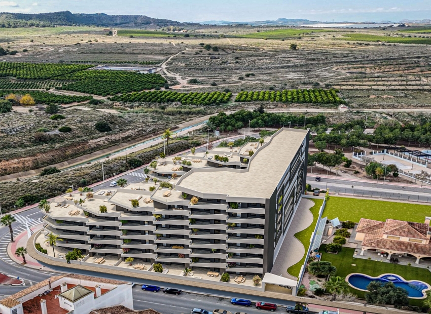 Nueva construcción  - Planta baja -
San Miguel de Salinas