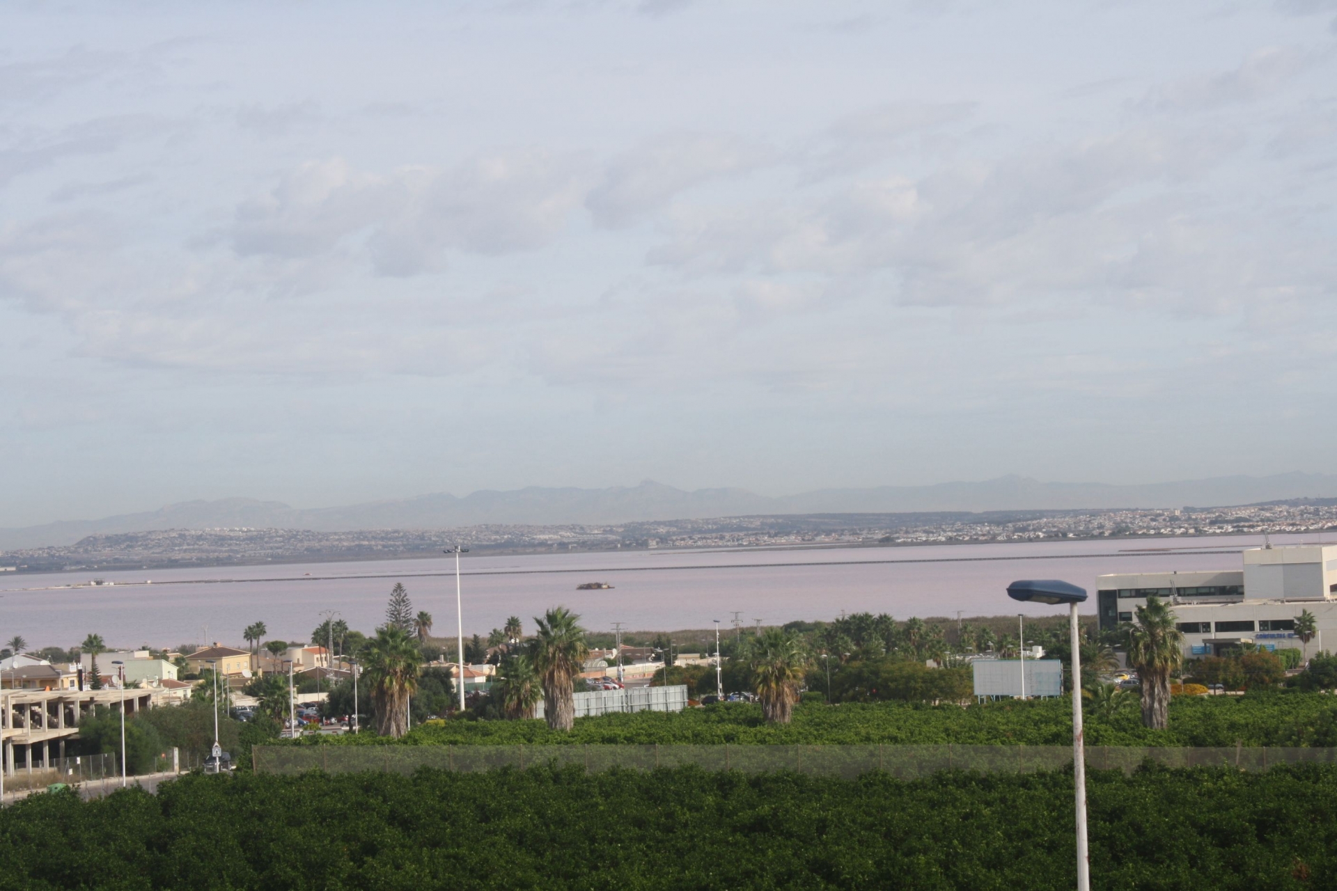 Nueva construcción  - semi-detached -
Torrevieja