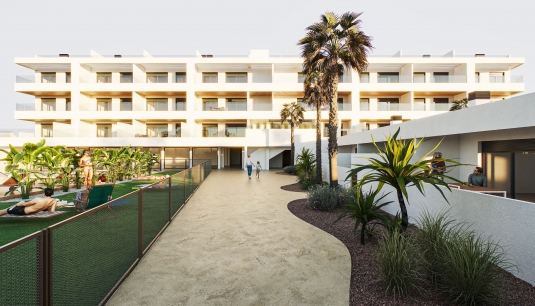 Пентхаус - Новое  строительство - Torrevieja -
                Torrevieja