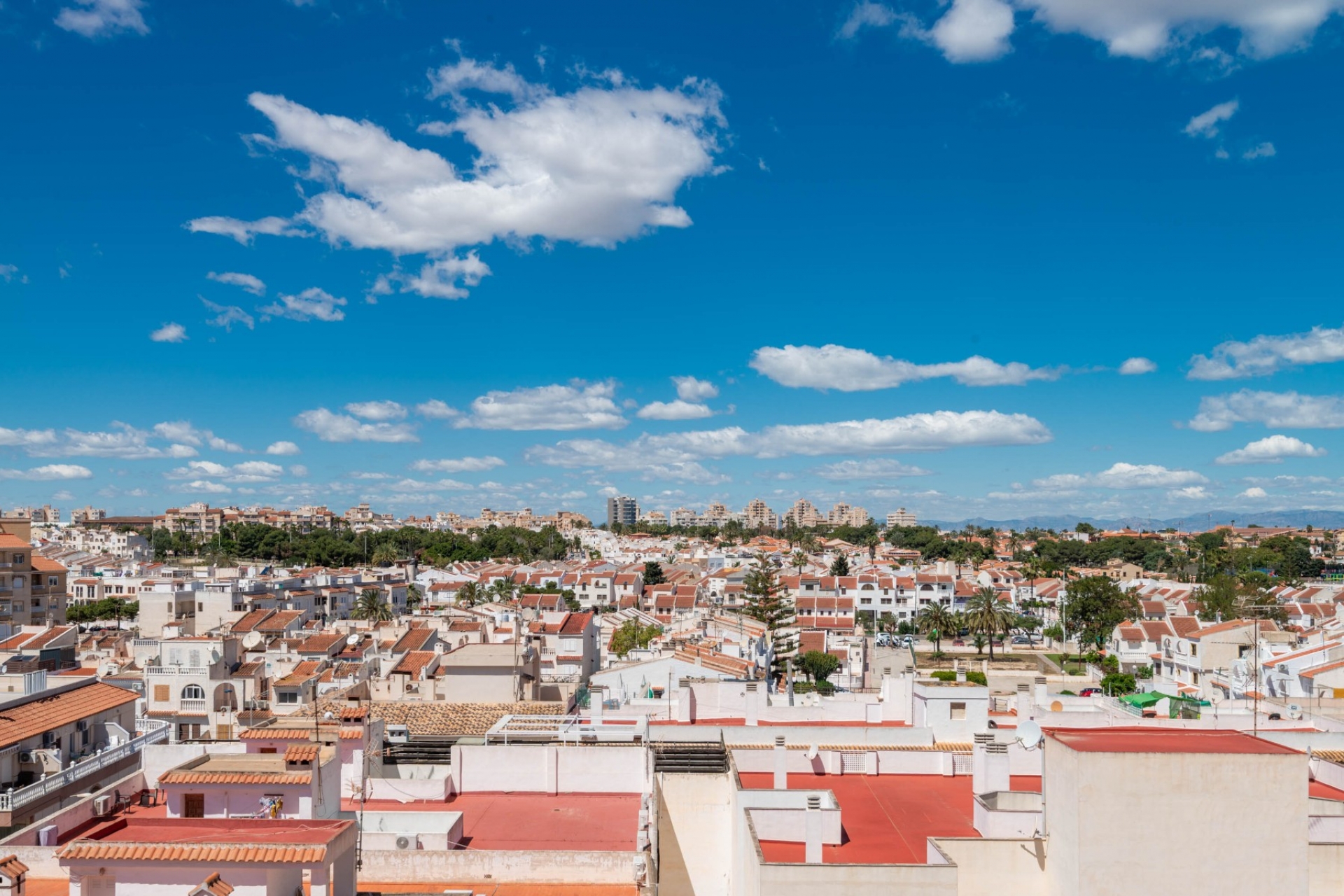 Resale - Apartment -
Torrevieja - Playa los Locos