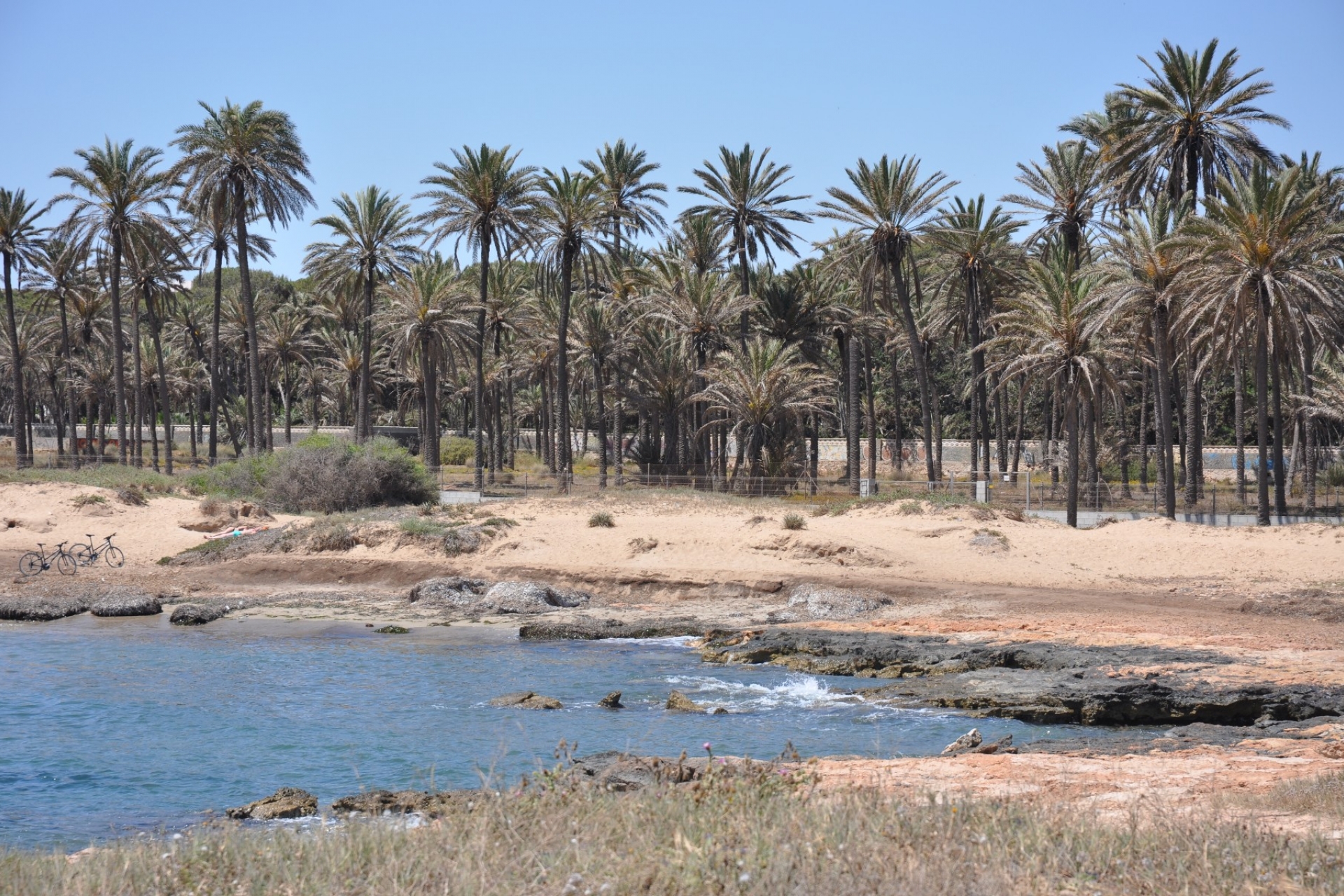 Resale - lägenhet  -
Torrevieja - Acequion