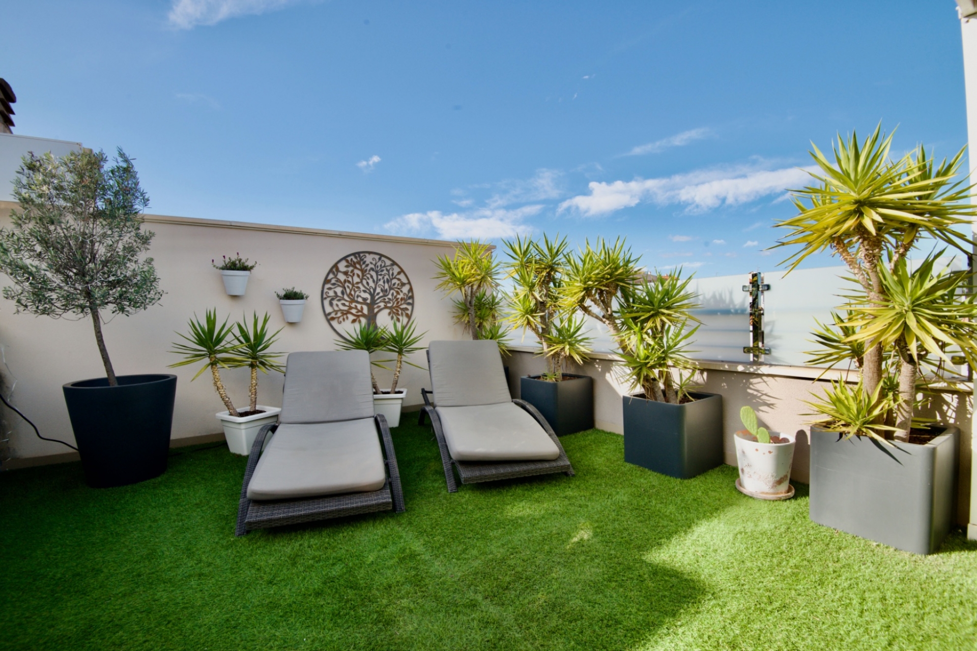 Resale - lägenhet  -
Torrevieja - Habaneras