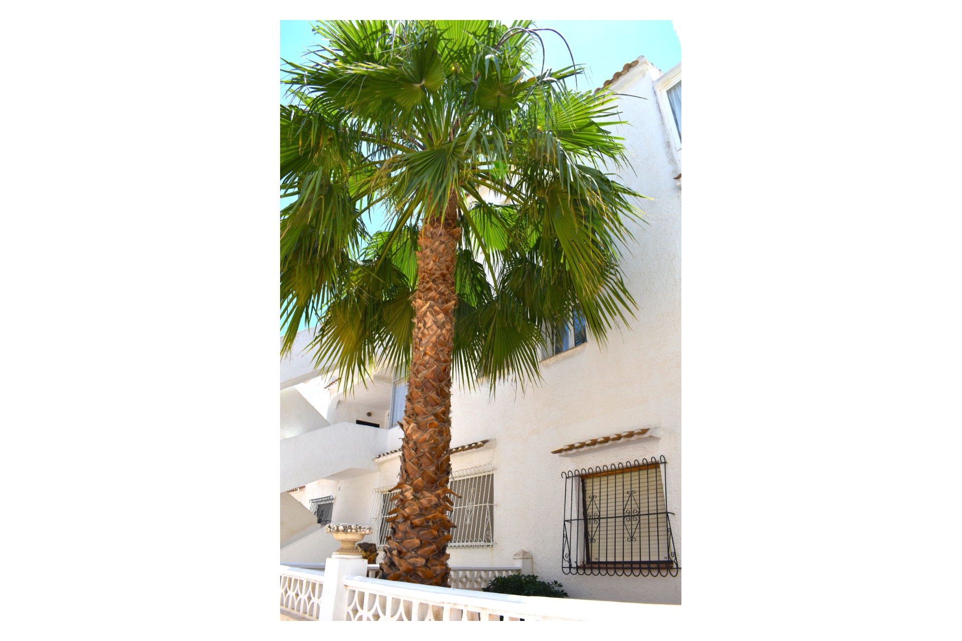 Reventa - Apartamento/Piso -
Torrevieja - Acequion