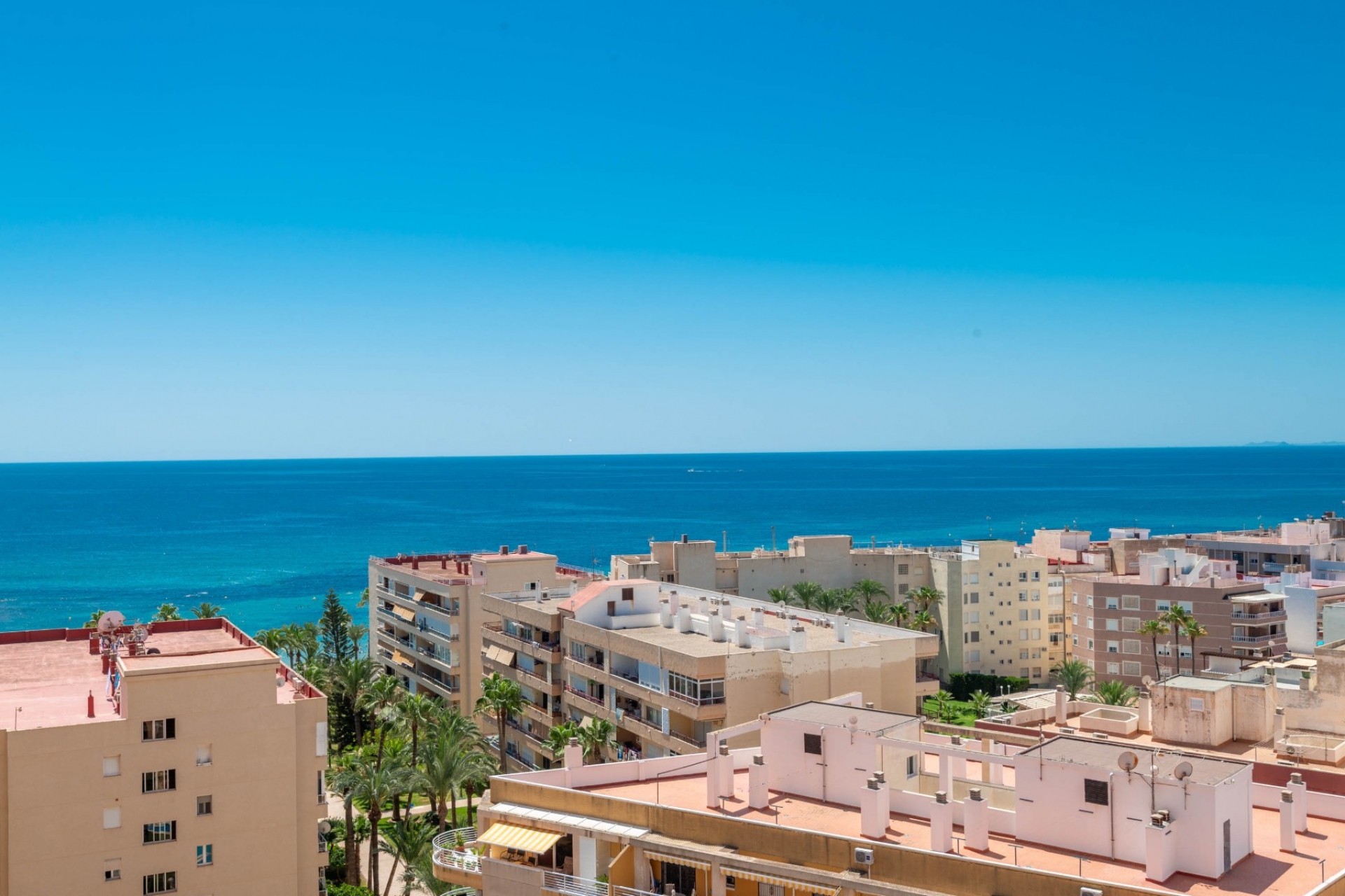 Reventa - Apartment -
Torrevieja - Playa de los Locos