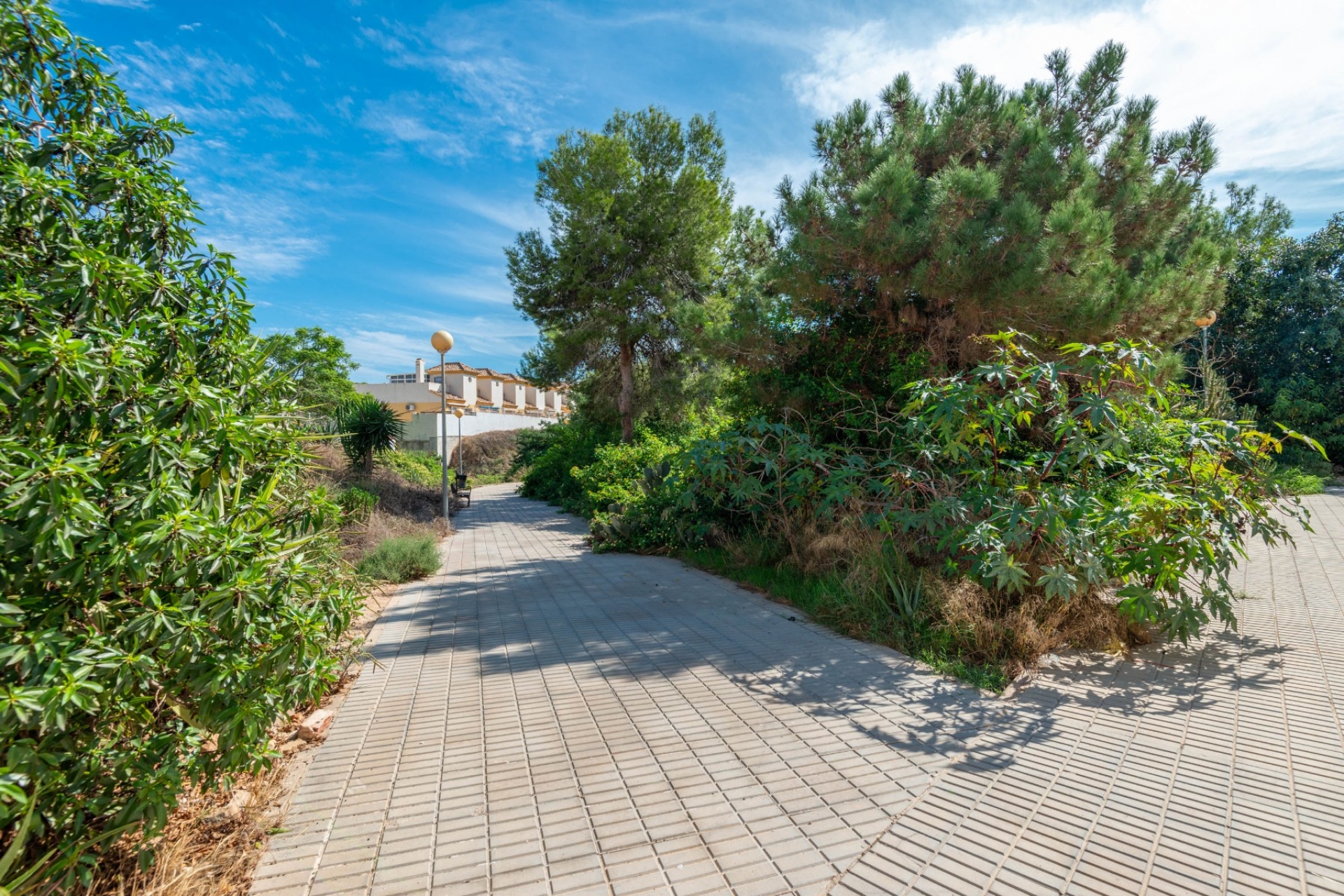 Wiederverkauf - Bungalow -
Torrevieja - Los Altos, Torrevieja