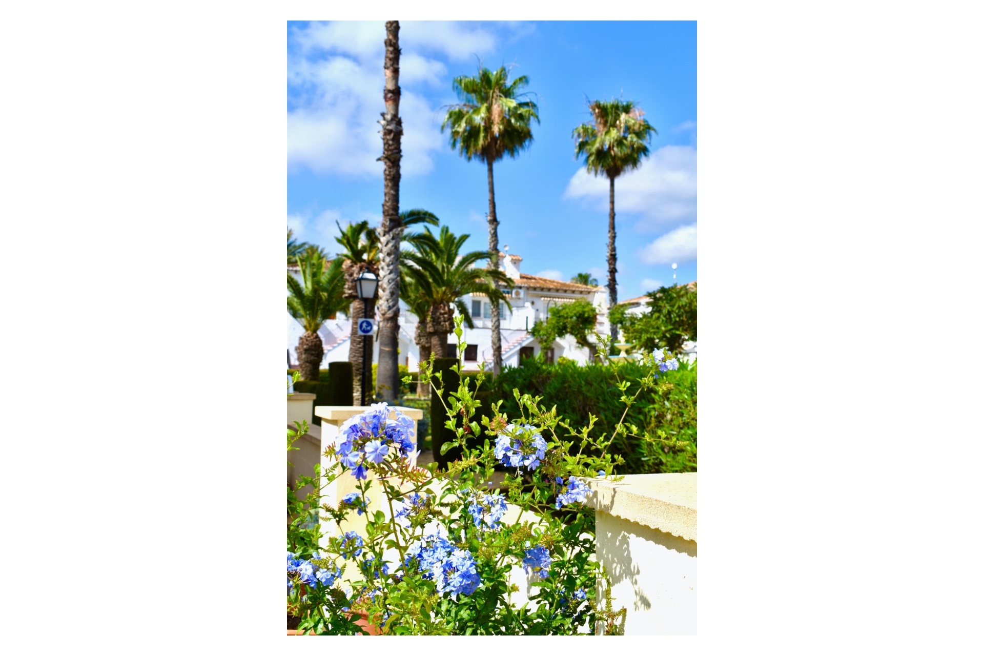 Wiederverkauf - Townhouse -
Torrevieja - Los Balcones