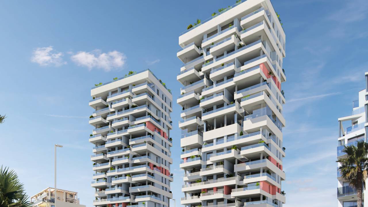 Isea Views