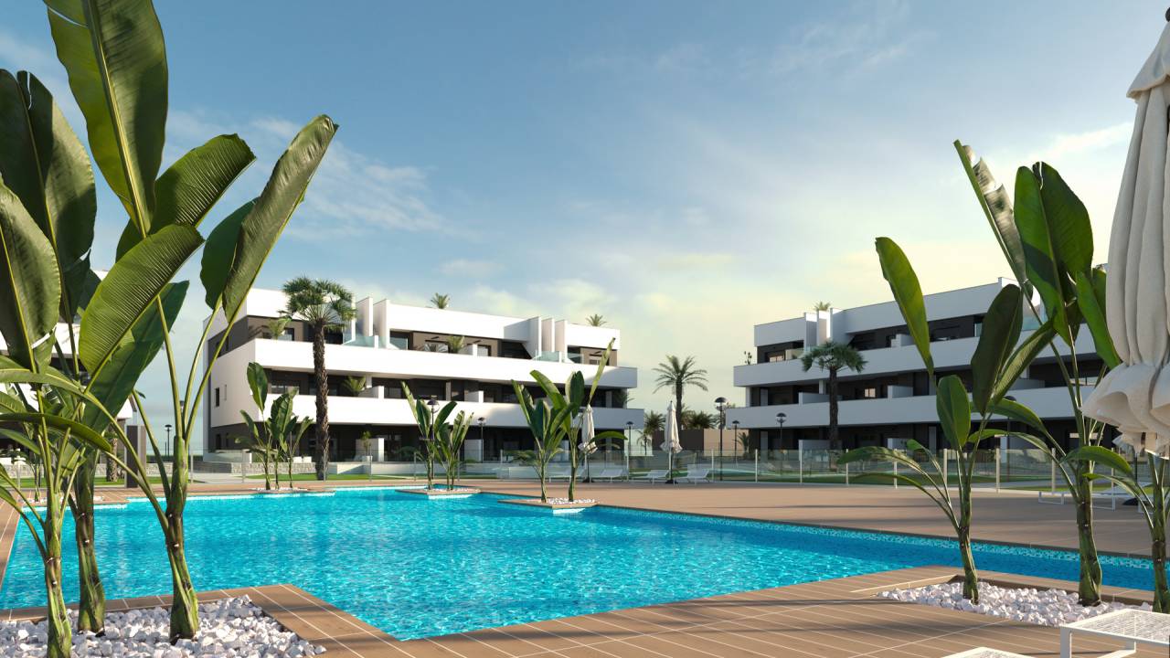 Oasis Laguna 3