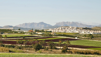 Ditt drömhem och investeringsmöjlighet väntar i San Miguel de Salinas, Costa Blanca